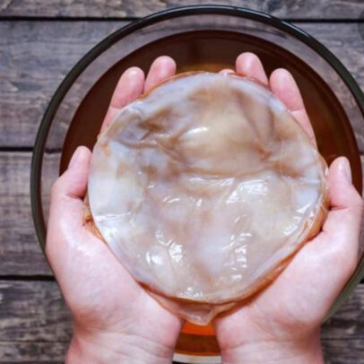 Kombucha Botox, ενυδατική συσφικτική αναπλαστική κρέμα. - Image 4