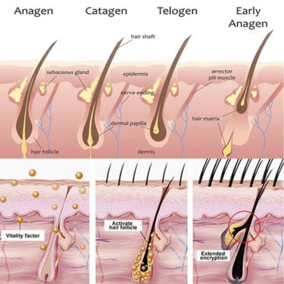 TURBO OIL. Λάδι μαλλιών για τριχόπτωση και ενδυνάμωση - Image 12