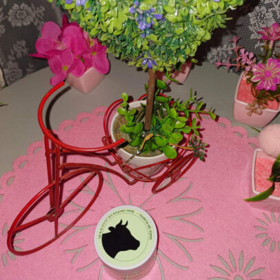 Whipped Tallow Cream 100% βιολογικό βοδινό λίπος - Image 3